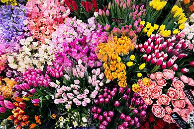 滑跪改价成功！《明末：渊虚之羽》国区重回最低价